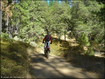 Honda CRF Trail Bike at Miami Creek OHV Area Trail