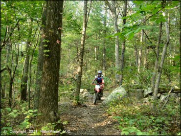 OHV at F. Gilbert Hills State Forest Trail