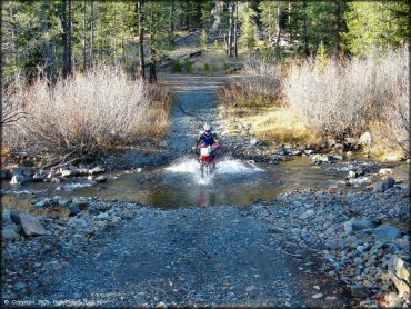 Honda CRF Trail Bike getting wet at Jackson Meadows Trail