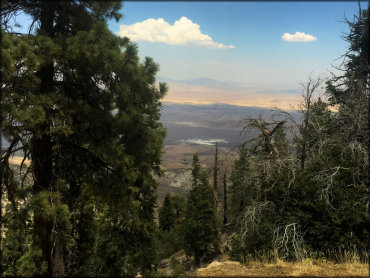 Big Pine Flats Trail