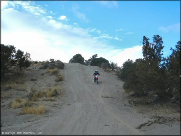 Honda CRF Trail Bike at Mount Seigel OHV Trails
