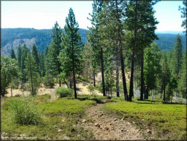 Scenic view at Interface Recreation Trails