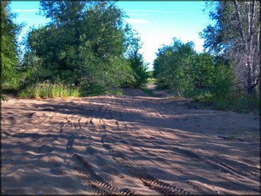 Example of terrain at The River ATV Park Trail