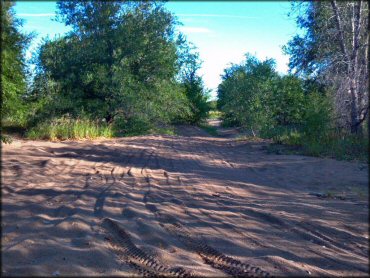 Terrain example at The River ATV Park Trail