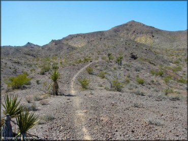 Some terrain at Nelson Hills Trail