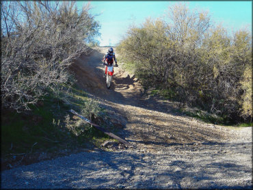 Honda dirt bike and rider going down small hill that leads to a sandy wash.