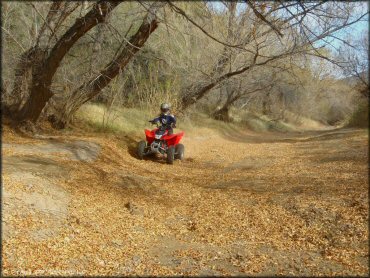 Young woman on Honda TRX250 ATV going through some leaves on the trail.