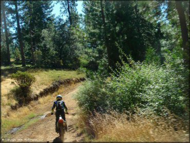 Honda CRF Dirt Bike at Interface Recreation Trails
