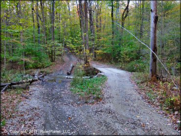 Some terrain at Pittsfield State Forest Trail