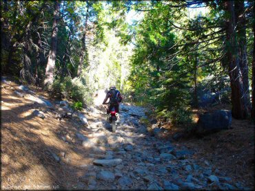 Honda CRF Dirtbike at Indian Springs Trail