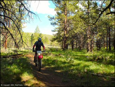 Honda CRF Motorcycle at Bull Ranch Creek Trail