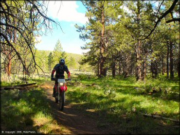 Honda CRF Off-Road Bike at Bull Ranch Creek Trail