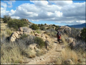 Honda CRF Motorcycle at Redington Pass Trail