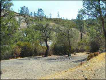 Scenery from Clear Creek Management Area Trail