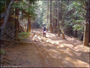 Honda CRF Dirtbike at Georgetown Trail