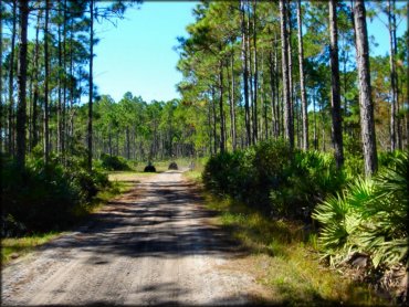 Florida Cracker Ranch Trail