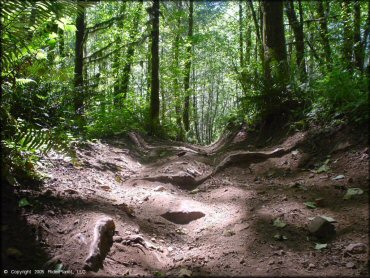 A trail at Jordan Creek Trail