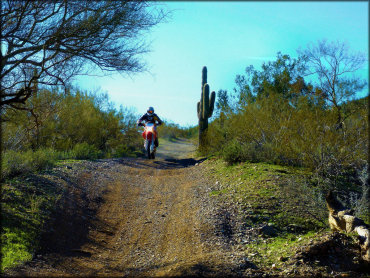 Scenic photo of man riding on Honda dirt bike on ATV trail.