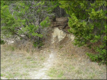 Example of terrain at Emma Long Metropolitan Park Trail