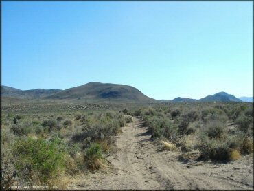 A trail at Mullen Creek Trail