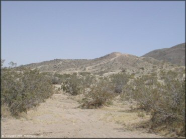 Photo of desert scenery at Johnson Valley.