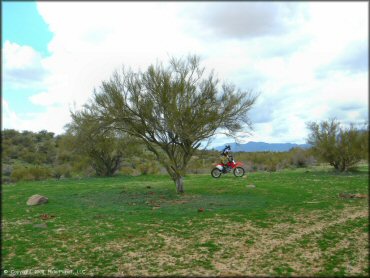 Honda CRF Motorcycle at Black Hills Box Canyon Trail