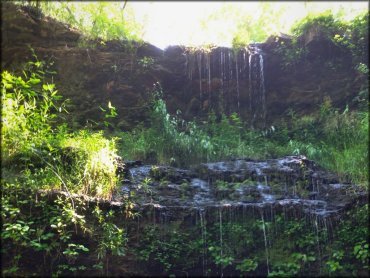 Small waterfall over rock ledges with grass and bushes.