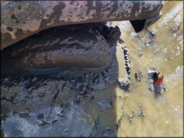 Close up photo of rear truck tire stuck in deep mud.