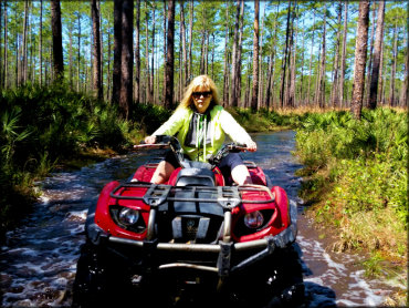 Osceola National Forest Trail