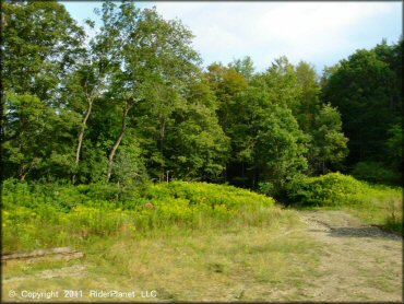 Copper Ridge ATV Trails