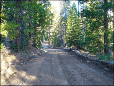 A trail at Jackson Meadows Trail