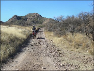 Honda CRF Motorbike at Red Springs Trail