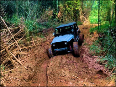 Greenville Pickens ORV Park Trail