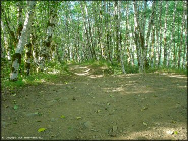 Example of terrain at Diamond Mill OHV Area Trail