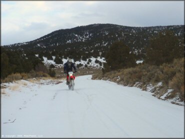 Honda CRF Trail Bike at Old Sheep Ranch Trail