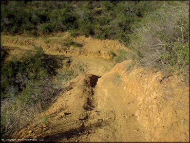 Photo of narrow trail with rut going through the center.