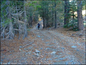 Honda CRF Motorcycle at Jackson Meadows Trail