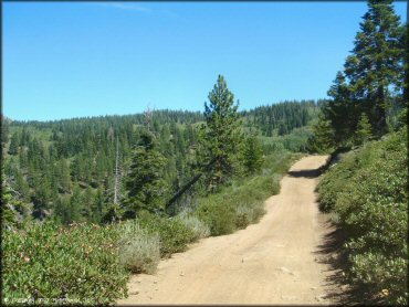 Example of terrain at South Camp Peak Loop Trail