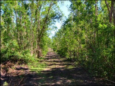 Red Creek NOLA Offroad Park Trail