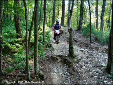 Honda CRF Trail Bike at Freetown-Fall River State Forest Trail