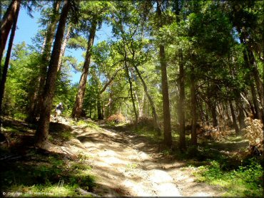 John's Peak OHV Area Trail