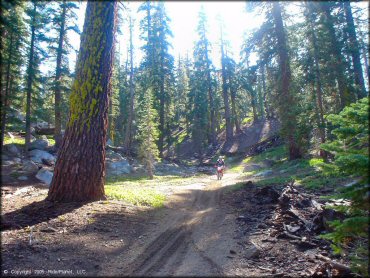 Honda CRF Off-Road Bike at Genoa Peak Trail