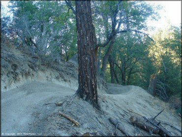 Example of terrain at Lake Arrowhead Trail