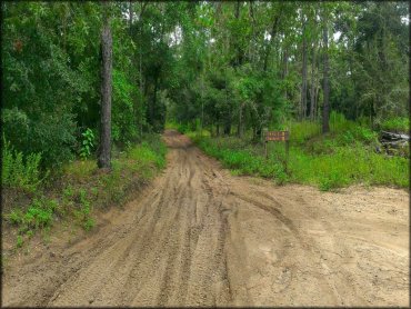 Croom Motorcycle Area Trail