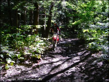 Honda CRF Motorcycle at Beartown State Forest Trail