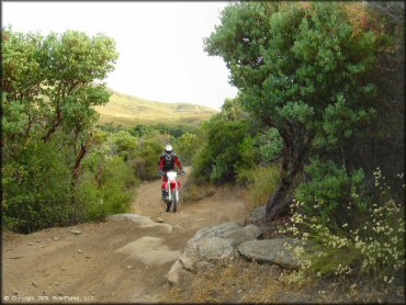 Rider on Honda CRF250X navigating section of ATV trail with some large rocks.
