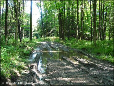 Camden ATV Trail