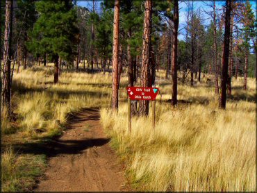 A trail at Clancy OHV Area Trail