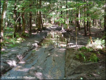 Terrain example at Camden ATV Trail