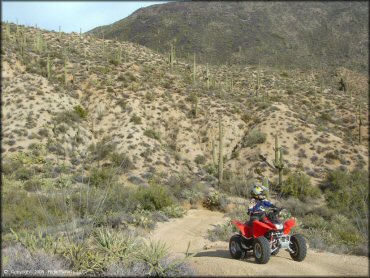 OHV at Log Corral Canyon Trail